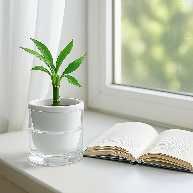 D'vine Dev 4 Inch Design Self Watering Planter - Image 7