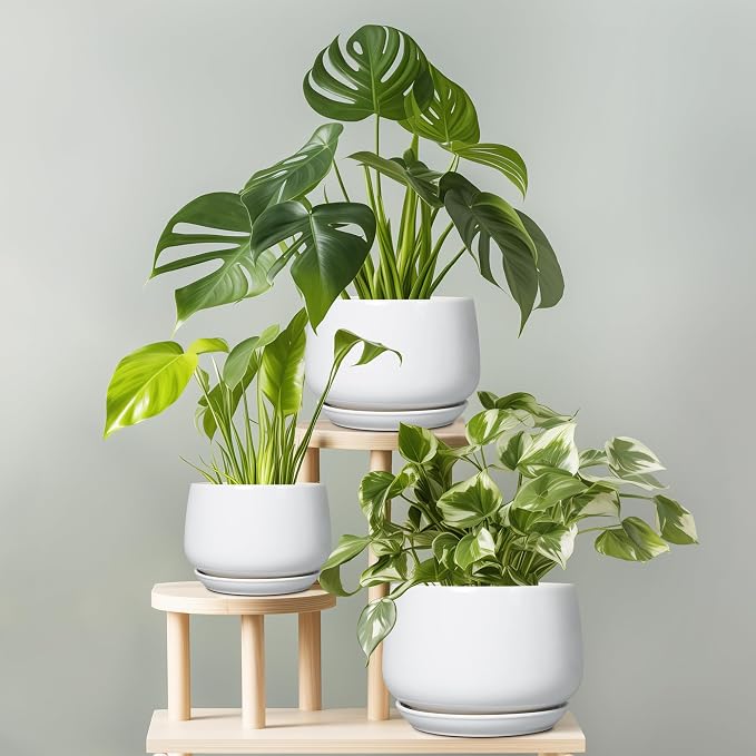G EPGardening Ceramic Pots for Plants - Image 8