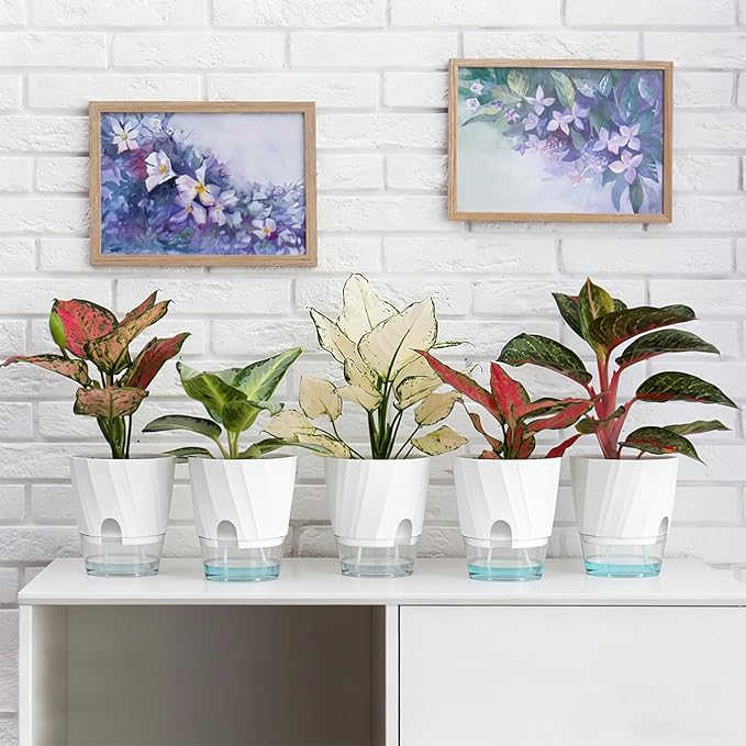 KIMCHOMERSE Self Watering Plant Pots, 6 Inch Plant Pots White, 3 Pack Flowers - Image 9