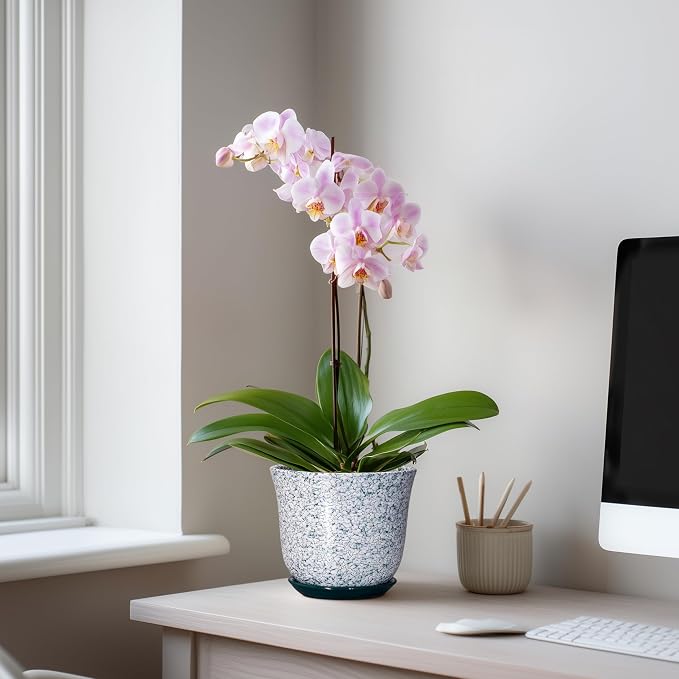 5.6 Inch Plant Pot - Image 3