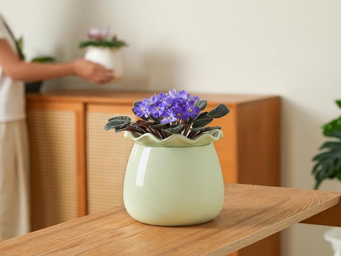 Self Watering Plant Pot, 6 Inch African Violet Pots Maintenance, Ceramic - Image 7