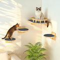 XiaZ Cat Wall Shelves, Corner Cat Shelf by XiaZPet