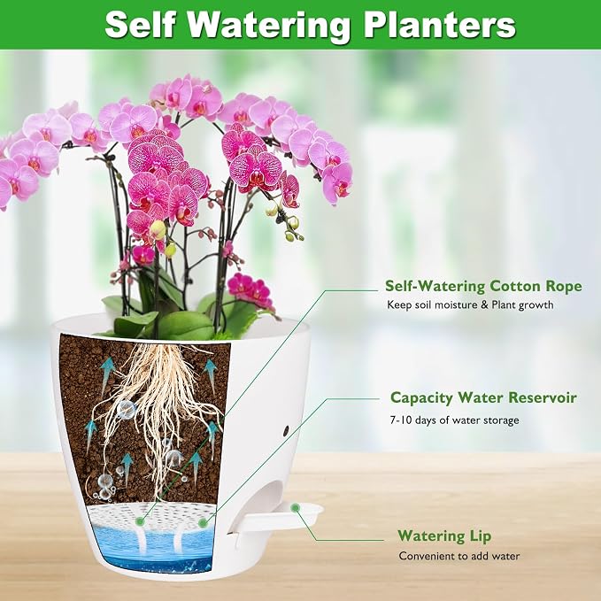 6 Inch Orchid Pots with Holes, 2 Pack Self Watering Planters - Image 3