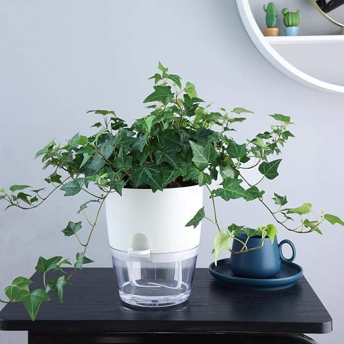 6 Inch Self Watering Plastic Plant Pots - Image 5