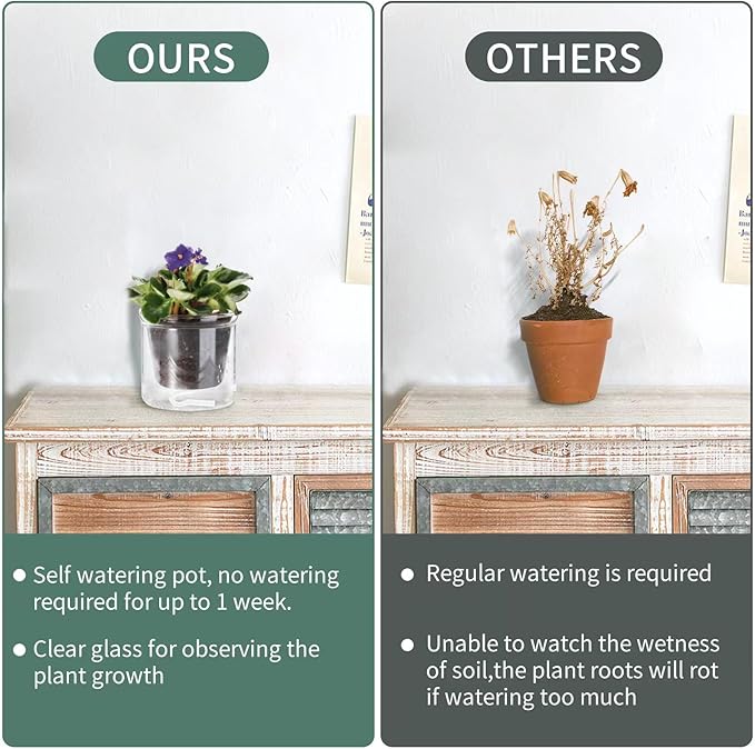 4 Inch Self Watering Pot, African Violet Pot, Bottom Watering Glass Planter - Image 6
