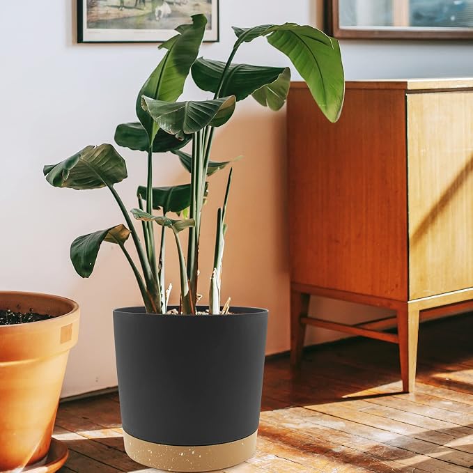 QCQHDU 10 inch Plant Pot, 2 Pack Planters - Image 5