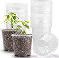 3.5" Clear Seeding Pots 100-Pack Round by RooTrimmer