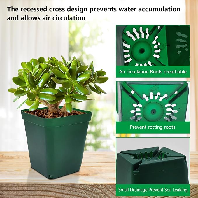 Square Nursery Succulent Pots 4 Inches 60 Pcs Deep Flower Plant Nursery - Image 4