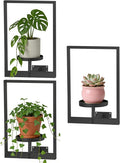 Wall Hanging Plant Stands Planter Shelves, Indoor Outdoor Window Plant Hanger by Unknown