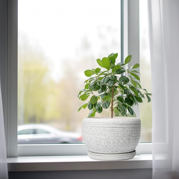 SQOWL Ceramic Plant Pots - Image 4