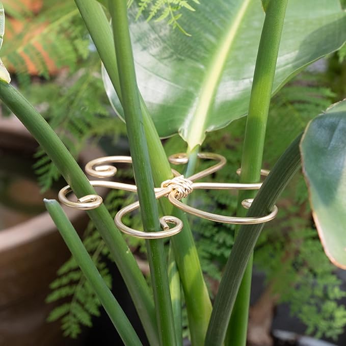 5PCS Monstera Plant Support System 4.1IN - Image 8