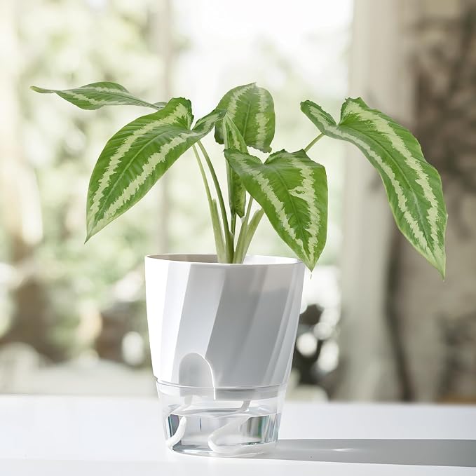 KIMCHOMERSE Self Watering Plant Pots, 6 Inch Plant Pots White, 3 Pack Flowers - Image 7