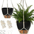 Self-Watering Hanging Planters for Indoor Plants Set 2-Piece Includes Plant by Unknown