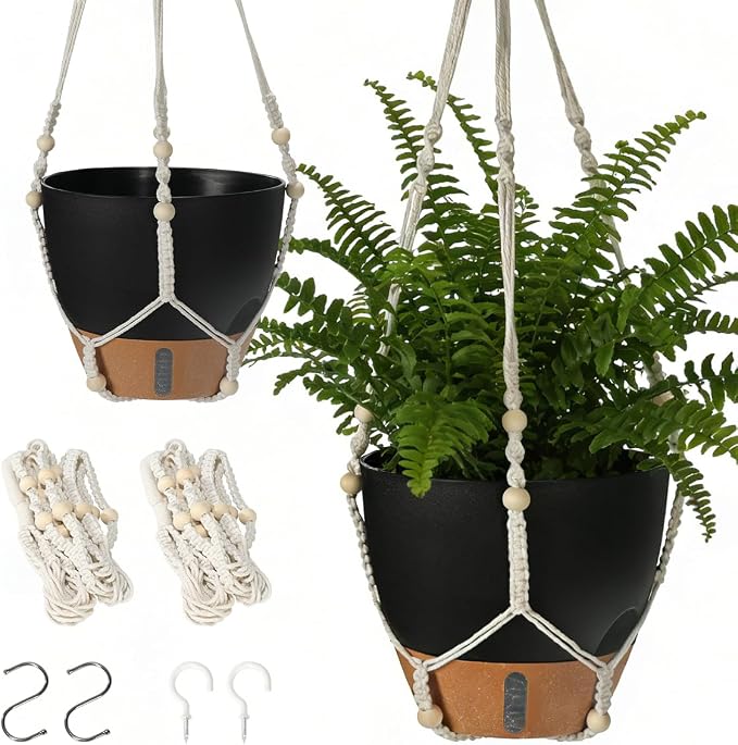 Self-Watering Hanging Planters for Indoor Plants Set 2-Piece Includes Plant by Unknown