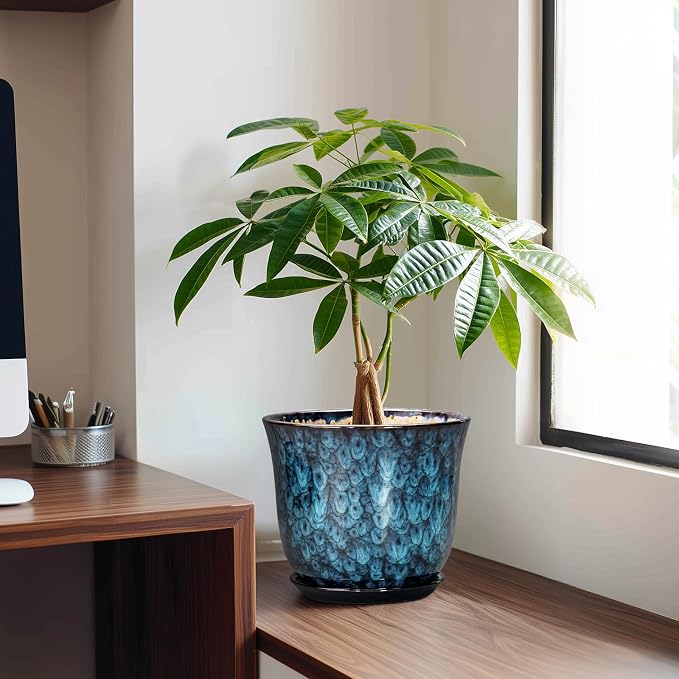 8 Inch Plant Pot - Image 3