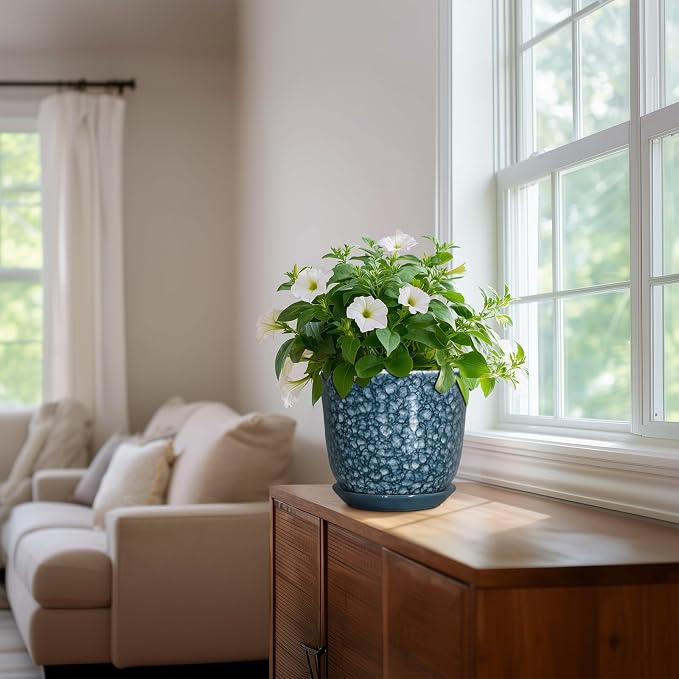 8 Inch Plant Pot - Image 6