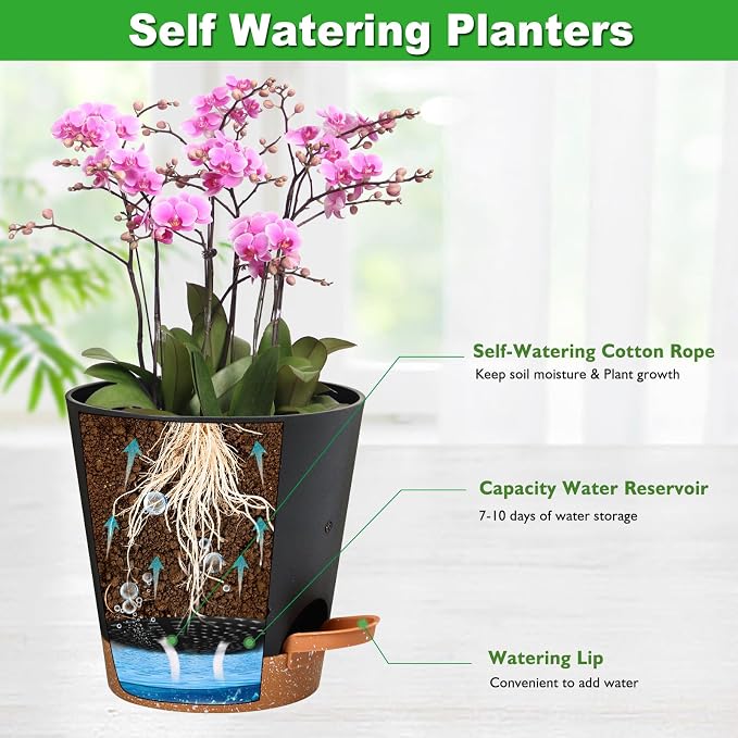 Orchid Pots with Holes, 6 Inch Self Watering Orchid Pot 2 Pack Plastic Plant - Image 3
