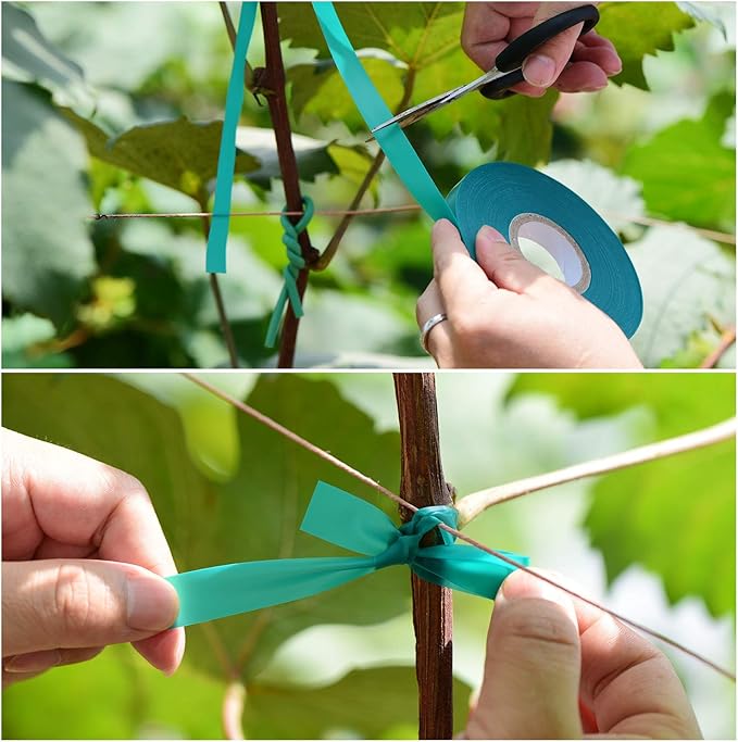2 Pcs 150 Feet x 1/2" Wide Stretch Tie Tape Green Plant Garden Tie, Garden - Image 5