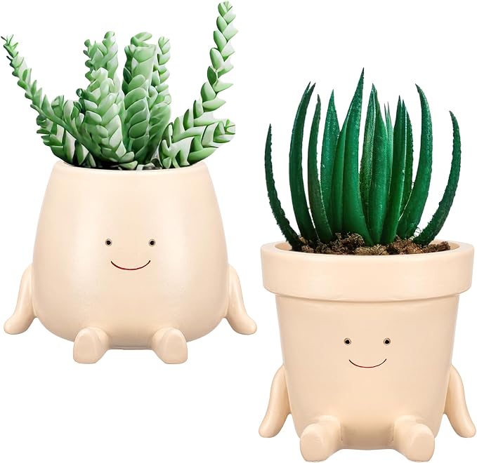 Domensi 2 Pcs Swing Hanging Planter Cute Smile Flower Face Pot Indoor Outdoor by Domensi