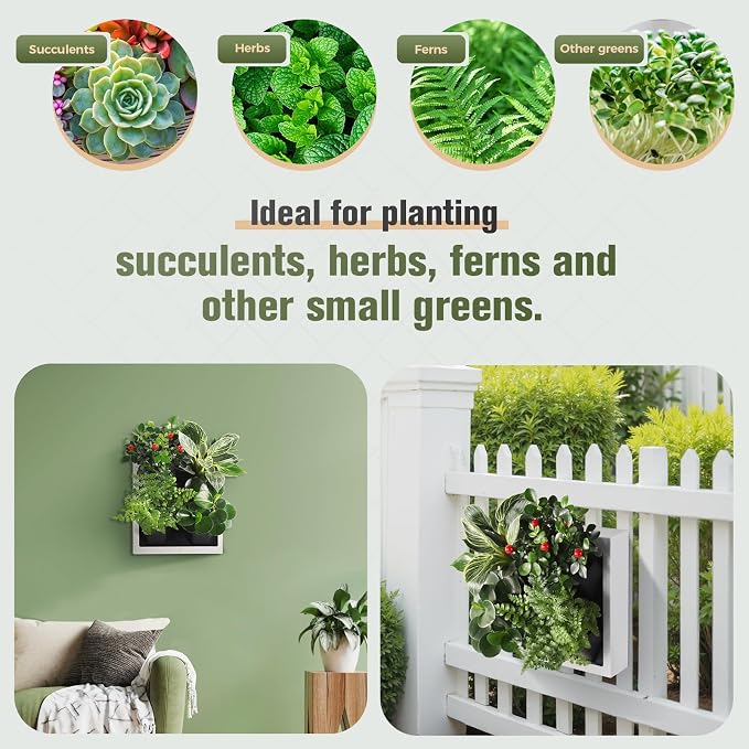 Wall-Mounted Vertical Garden Planter – Ready-to-Use Indoor Wall Planter - Image 3