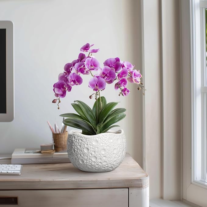 Ceramic Plant Pot - Image 4