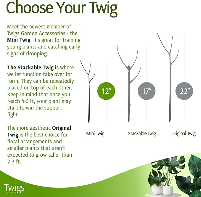 Mini Twigs Plant Support Stakes - Image 4