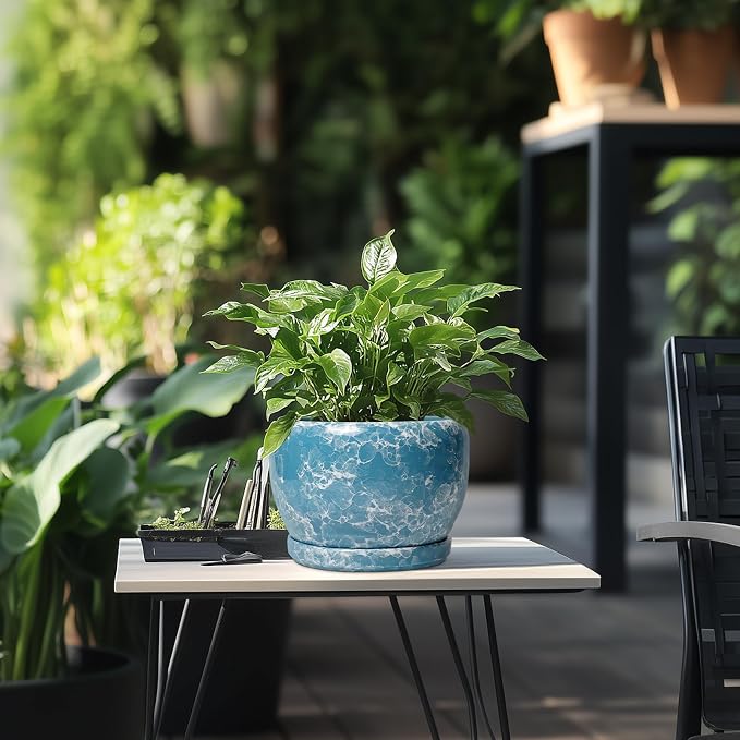 SQOWL Ceramic Pots for Plants - Image 5