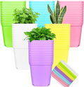 Anyumocz 42 PCS Plastic Square Plant Pots, Small Flower Pots by Anyumocz