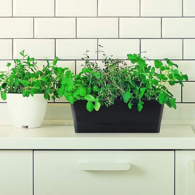Skelang 3 Pcs Rectangular Plant Pot, Windowsill Container - Image 6
