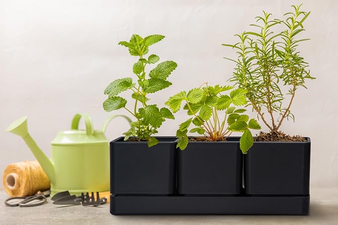 D'vine Dev Herb Garden Planter Set, Plastic Plant Pots - Image 7