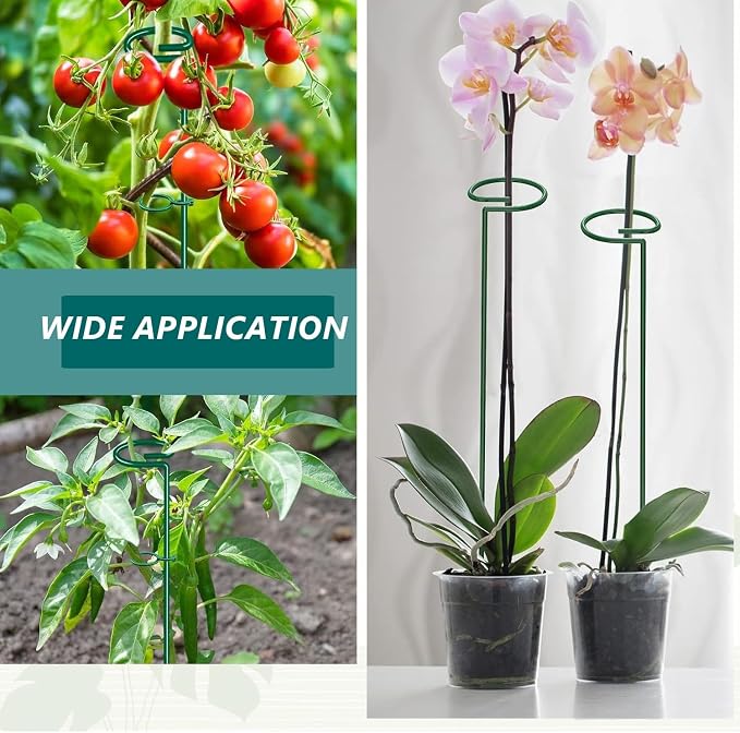 MAFONE 12 Pack 16inch Plant Support Stakes, Plant Stick Garden Single Stem - Image 4