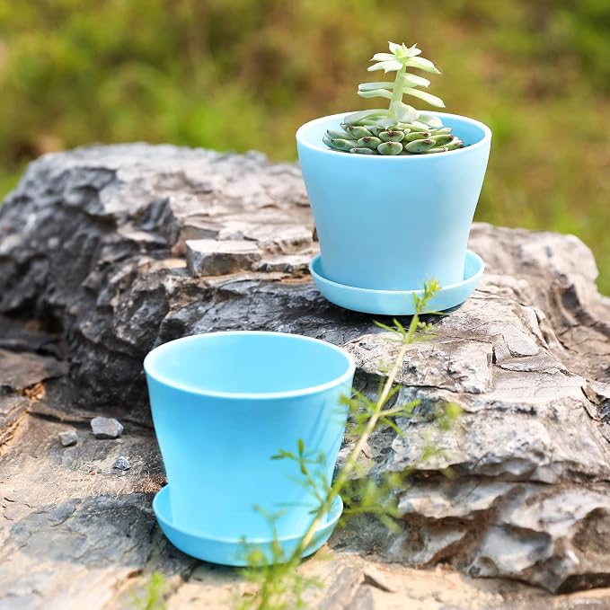 TDHDIKE 10 Pcs Plastic Planters Indoor Flower Plant Pots, Mini Flower Seedlings - Image 4