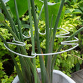 5PCS Monstera Plant Stem Support White 9 * 7.6in by Yohsnor