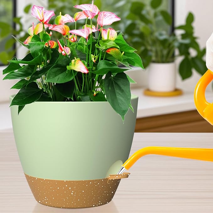 12 Inch Large Self Watering Pots, Flower Pots - Image 7