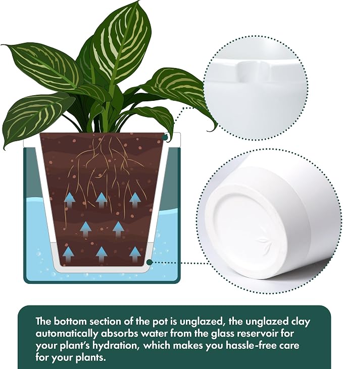 D'vine Dev 10 Inch Design Self Watering Planter - Image 6