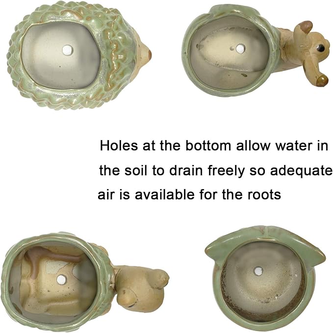Small Ceramic Succulent Pot - Image 3