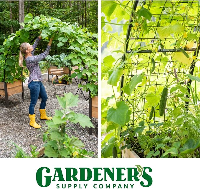 Gardener’s Supply Company Arch Trellis | Garden Arbor fits 2' x 8' Elevated - Image 8