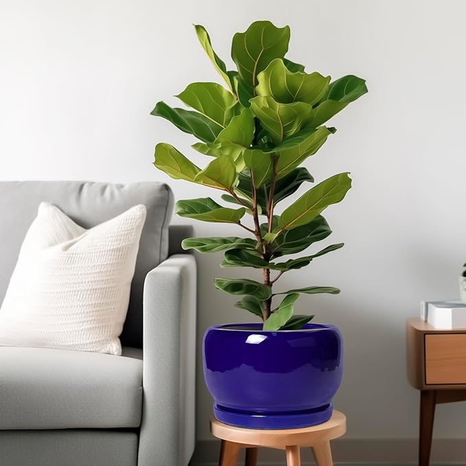 SQOWL Ceramic Plant Pot - Image 2