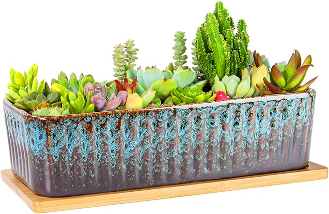 Succulent Pots - 12 Inch Large Succulent Planters by ARTKETTY