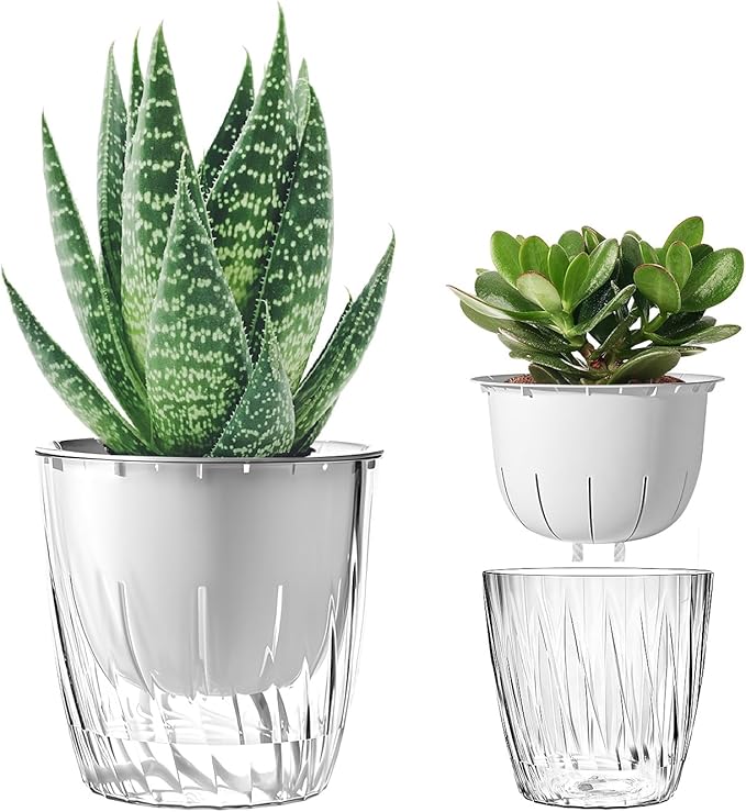 Self Watering Planters - Image 9