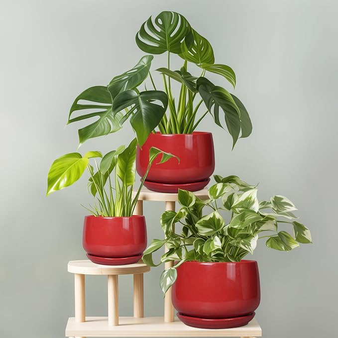 G EPGardening Ceramic Planter 7 Inch - Image 7