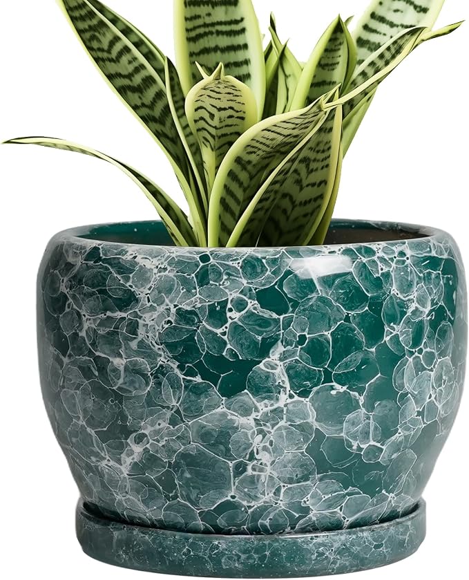 SQOWL Ceramic Pot for Plants by SQOWL