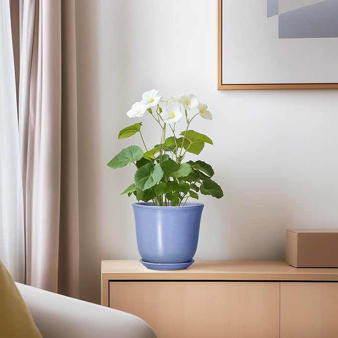 Ceramic Plant Pots - Image 6