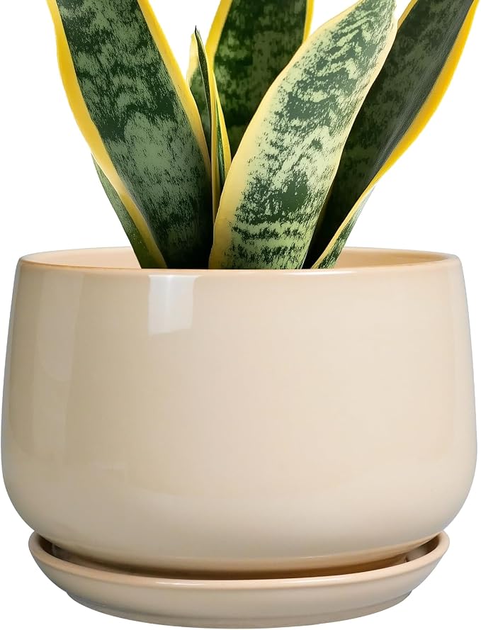 G EPGardening Ceramic Planter by GEPGardening