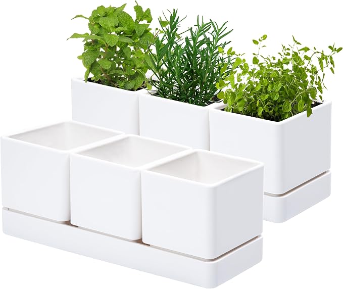 D'vine Dev Herb Garden Planter Set, Plastic Plant Pots by DvineDevPlanterPotsandStand
