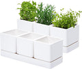 D'vine Dev Herb Garden Planter Set, Plastic Plant Pots by DvineDevPlanterPotsandStand