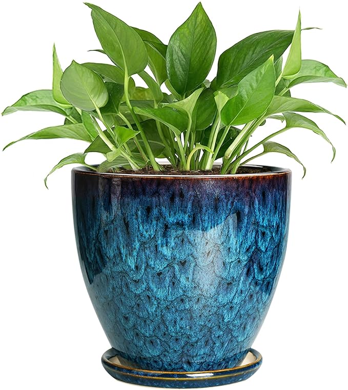 Ceramic Plant Pot, 6.3 Inch Ceramic Planter Pot by EPFamily