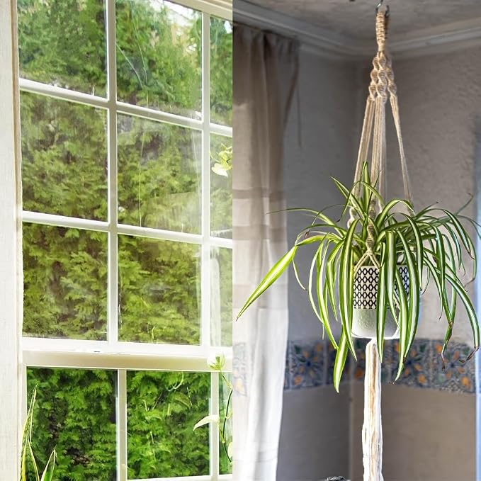 3 Pack Macrame Plant Hanger Indoor Hanging Planter - Image 8