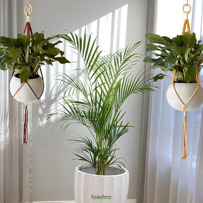 feedee 2 Pack Plant Hanger Indoor, Hanging Plant Holder, Macrame Plant Hangers - Image 7