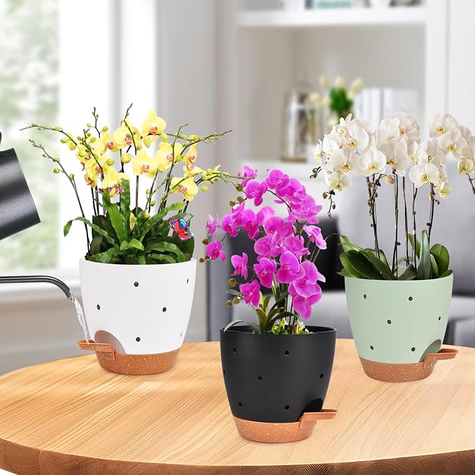 6 Inch Orchid Pots with Holes, 3 Pack Self Watering Planters - Image 6
